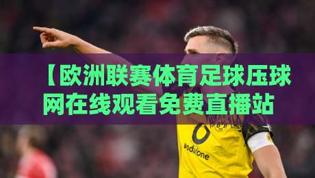 【欧洲联赛体育足球压球网在线观看免费直播站】2026赛季观赛指南与避坑技巧