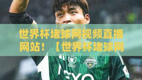 世界杯堵球网视频直播网站!【世界杯堵球网视频直播网站】怎么选?2026球迷必看避坑指南