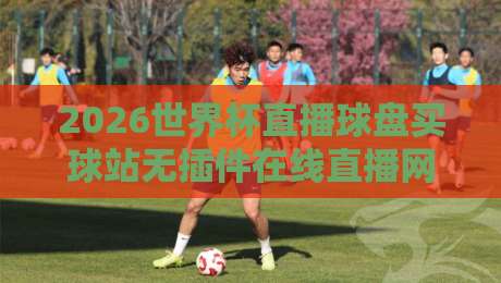 2026世界杯直播球盘买球站无插件在线直播网,讲真!这届看球得这么搞