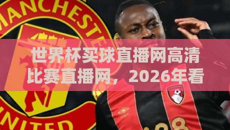 世界杯买球直播网高清比赛直播网,2026年看球首选平台深度测评