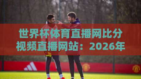 世界杯体育直播网比分视频直播网站:2026年看球神器实测与避坑指南