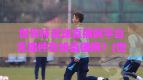 世界杯买球直播网平台无插件在线直播网?(世界杯买球直播网平台) 2026观赛新姿势,你get了吗?