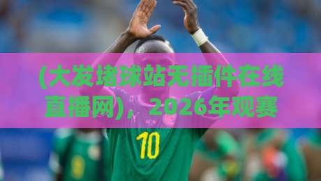 (大发堵球站无插件在线直播网)，2026年观赛新选择？球迷们都在聊它！