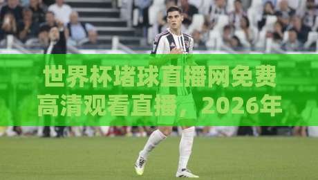 世界杯堵球直播网免费高清观看直播,2026年球迷必备的观赛攻略(世界杯堵球直播网)