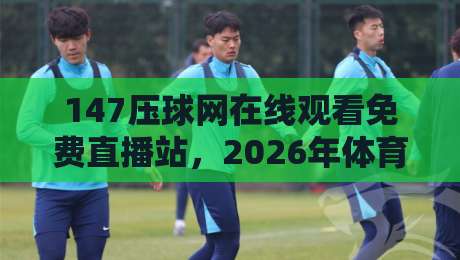 147压球网在线观看免费直播站,2026年体育迷的新宠?带你揭秘真实体验