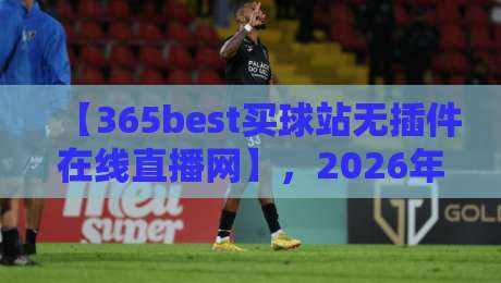 【365best买球站无插件在线直播网】，2026年体育迷的终极选择？