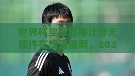 世界杯买球直播比分无插件在线直播网，2026年球迷必备的观赛神器！
