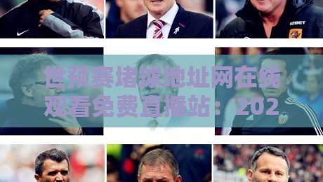 世预赛堵球地址网在线观看免费直播站：2026年世预赛观赛指南与避坑攻略