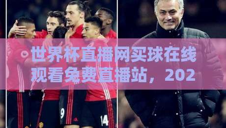 世界杯直播网买球在线观看免费直播站,2026年球迷的真实体验分享