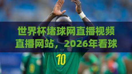 世界杯堵球网直播视频直播网站,2026年看球新姿势你get了吗?