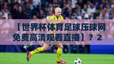 【世界杯体育足球压球网免费高清观看直播】?2026观赛指南来喽!
