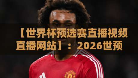 【世界杯预选赛直播视频直播网站】:2026世预赛在哪看?这5个网站实测靠谱!