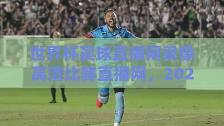 世界杯买球直播网录像高清比赛直播网,2026年观赛新玩法(附避坑指南)