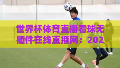 世界杯体育直播看球无插件在线直播网:2026年观赛新选择,零插件畅享高清赛事