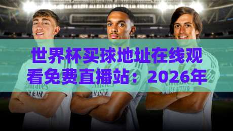 世界杯买球地址在线观看免费直播站：2026年球迷必备的观赛指南