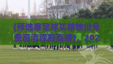 (预选赛足球买球地址免费高清观看直播)，2026年球迷必备的观赛指南！