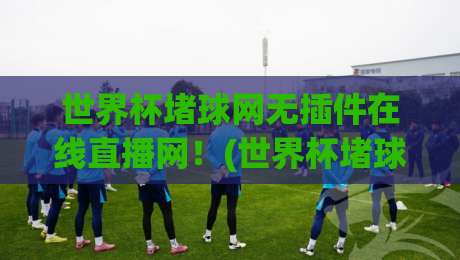 世界杯堵球网无插件在线直播网！(世界杯堵球网)如何让你免费畅享2026世界杯？