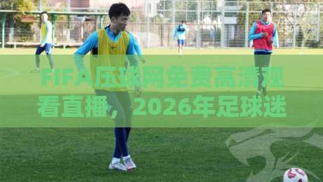 FIFA压球网免费高清观看直播，2026年足球迷的终极观赛指南
