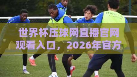 世界杯压球网直播官网观看入口，2026年官方入口+高清直播观赛全攻略