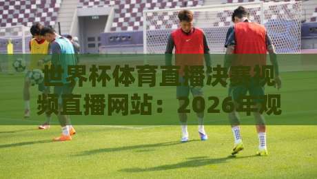 世界杯体育直播决赛视频直播网站:2026年观赛终极指南与避坑手册