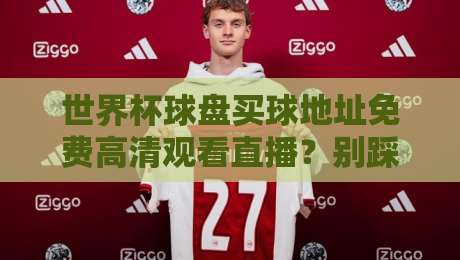 世界杯球盘买球地址免费高清观看直播?别踩坑!2026年看球正确打开方式