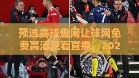 预选赛球盘网让球网免费高清观看直播，2026年世预赛观赛全攻略
