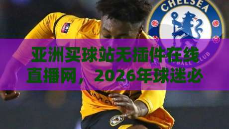 亚洲买球站无插件在线直播网，2026年球迷必备的观赛神器（亚洲买球站）