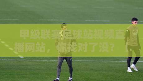 甲级联赛足球站视频直播网站，你找对了没？【甲级联赛足球站视频直播网站】2026赛季观赛攻略