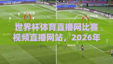 世界杯体育直播网比赛视频直播网站，2026年看球必备神器！（世界杯体育直播网）