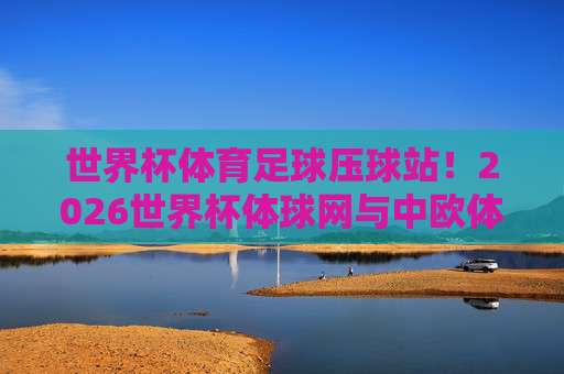【巴甲足球进球】！2026赛季巴甲联赛进球数据全解析，五大射手争霸金靴奖，谁将成为新一代进球王？
