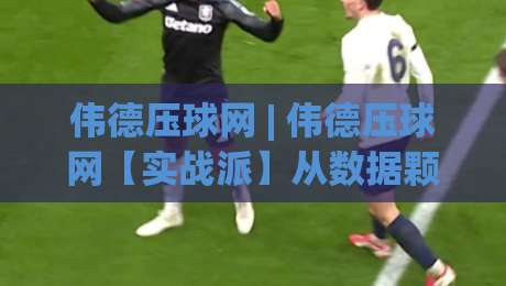 伟德压球网 | 伟德压球网【实战派】从数据颗粒度到场景化预判的进阶思路(伟德压球网)|最全手机信誉进球站大全早盘文字中文解说直播指南