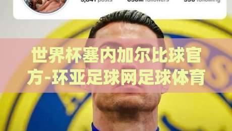 世界杯塞内加尔比球官方-环亚足球网足球体育,2026塞内加尔队战术升级之路(世界杯)带你深度解析