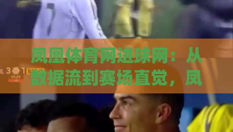 凤凰体育网进球网:从数据流到赛场直觉,凤凰体育网进球网如何重塑你的观赛节奏?|线上十大最稳体球网评级时间推荐直播源不卡顿在线观看