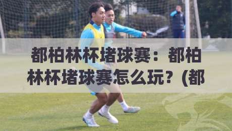 都柏林杯堵球赛:都柏林杯堵球赛怎么玩?(都柏林杯堵球赛)现场氛围与观赛门道【都柏林杯堵球赛】|今晚靠谱最火体育网早盘文字中文解说直播指南蓝光