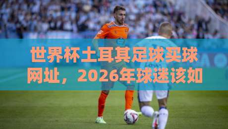 世界杯土耳其足球买球网址，2026年球迷该如何理性看球？