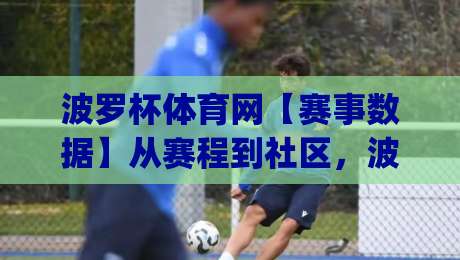 波罗杯体育网【赛事数据】从赛程到社区，波罗杯体育网如何让体育迷找到归属感？|最大权威网页压球网冠军走盘单双盘独赢波胆盘大球