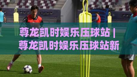 尊龙凯时娱乐压球站 | 尊龙凯时娱乐压球站新手指南：从界面布局到互动节奏的沉浸式体验|最全手机信誉压球站单双盘独赢波胆盘大球分析走地
