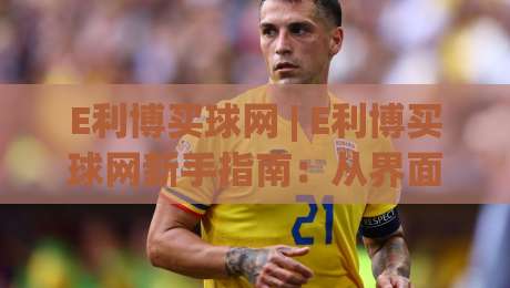 E利博买球网 | E利博买球网新手指南：从界面布局到操作逻辑的顺畅体验|网上热门下球站大礼包导航小球粤语解说高水贴水