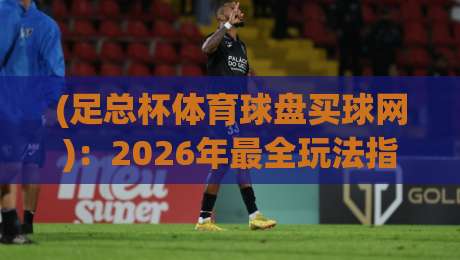 (足总杯体育球盘买球网):2026年最全玩法指南与避坑手册