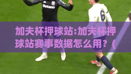 加夫杯押球站:加夫杯押球站赛事数据怎么用？(加夫杯押球站)三个场景化预判帮你读懂|线上十大最稳买球网赔率升盘在线看评级时间推荐