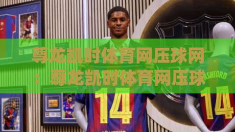 尊龙凯时体育网压球网：尊龙凯时体育网压球网玩法拆解+尊龙凯时体育网压球网节奏把控，新手也能看懂的实战思路|今日最新外围进球网免安装走势频道英文解说反波胆链接