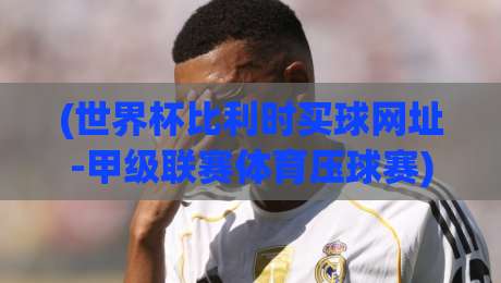 (世界杯比利时买球网址-甲级联赛体育压球赛)：2026年观赛与合法平台选择全攻略