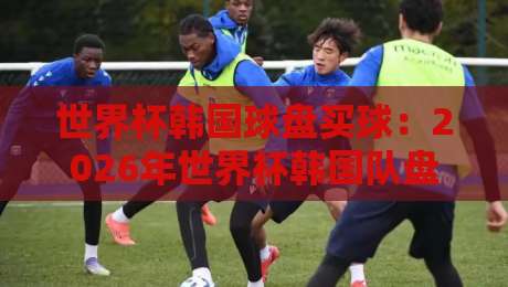 世界杯韩国球盘买球：2026年世界杯韩国队盘口策略全解读