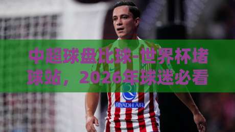 中超球盘比球-世界杯堵球站,2026年球迷必看避坑指南