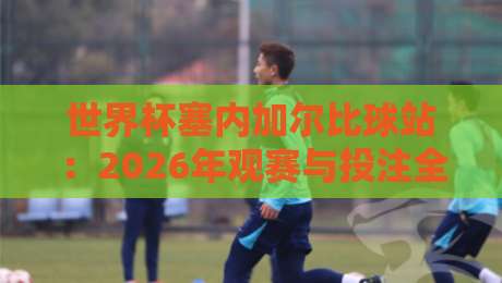 世界杯塞内加尔比球站：2026年观赛与投注全攻略
