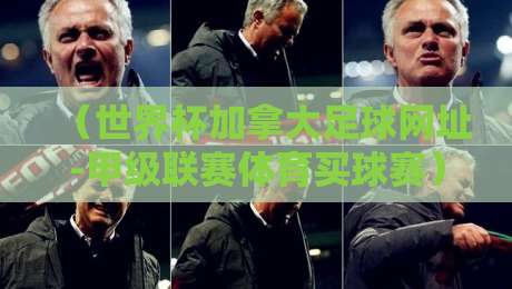 （世界杯加拿大足球网址-甲级联赛体育买球赛）：2026年球迷必知的四大实战技巧