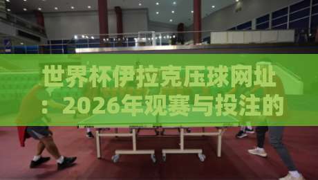 世界杯伊拉克压球网址:2026年观赛与投注的正确打开方式