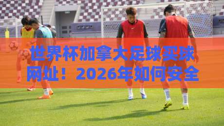 世界杯加拿大足球买球网址!2026年如何安全选择正规平台?