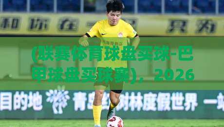 (联赛体育球盘买球-巴甲球盘买球赛)，2026赛季巴甲盘口深度解析与投注策略