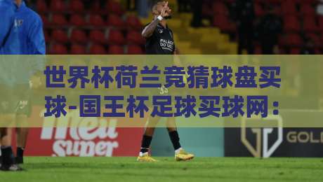世界杯荷兰竞猜球盘买球-国王杯足球买球网：2026年实战策略与避坑指南